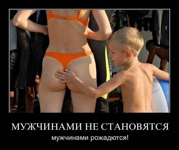 Демотиваторы  демотиваторы, прикол, смех, юмор