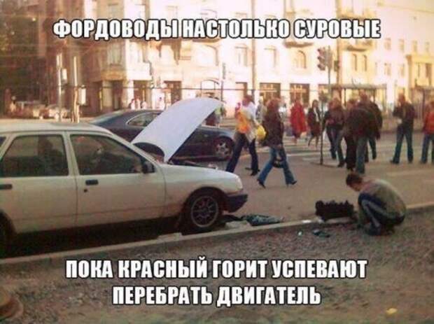 АВТОприкольные картинки для хорошего настроеия (31 шт)