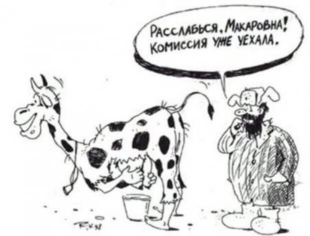 Смешные карикатуры Смешные карикатуры