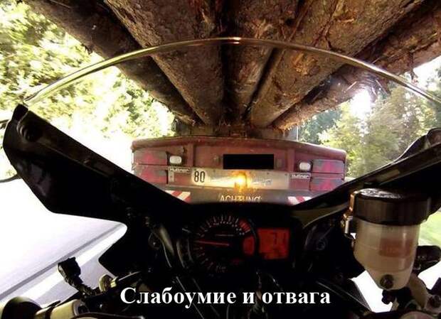Прикольные картинки (93 фото) Прикольные картинки (93 фото)