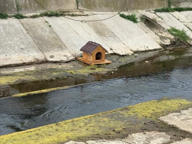 На реке Байбуга в Феодосии впервые появились домики для уток 