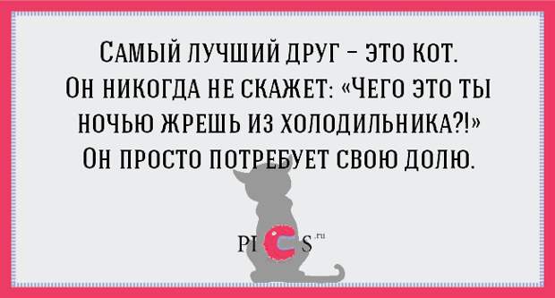 catowner06