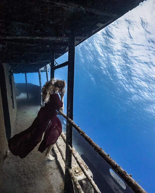 Андре Масгроув (André Musgrove) и его невероятные подводные снимки