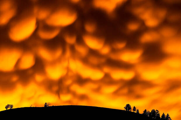 Победители научного конкурса Royal Society Publishing Photography Competition