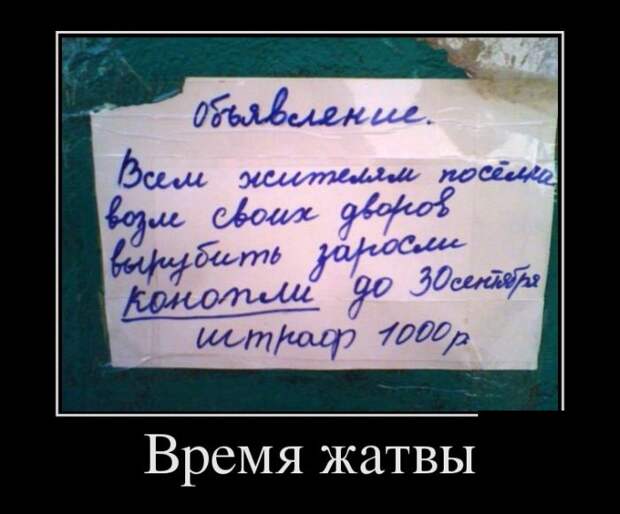 Демотиваторы (30 фото)