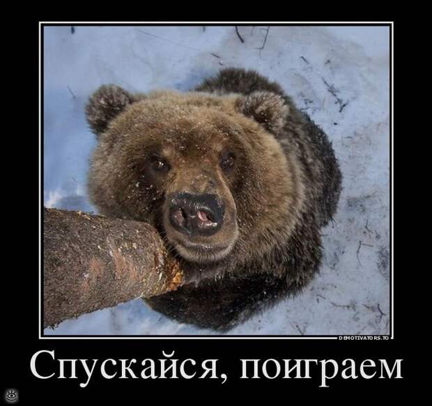 Праздник приближается! 0
