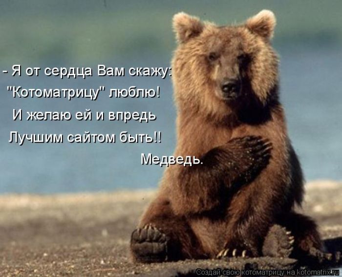 Лучшие котоматрицы недели (50 фото)