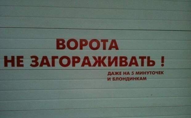 Всегда следует пояснять блонди, блондинка, блондинки, мозговынос, прикол, стереотипы, юмор