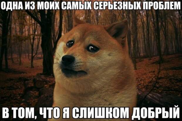 Смешные картинки с подписями  картинки, прикол, юмор