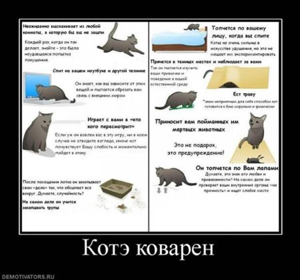 Демотиваторы, смешные приколы.
