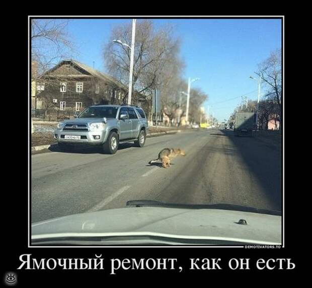 Спасибо женщинам за эволюцию! 10