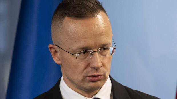 Глава МИД Венгрии назвал сумасшедшими заявления об отправке войск на Украину