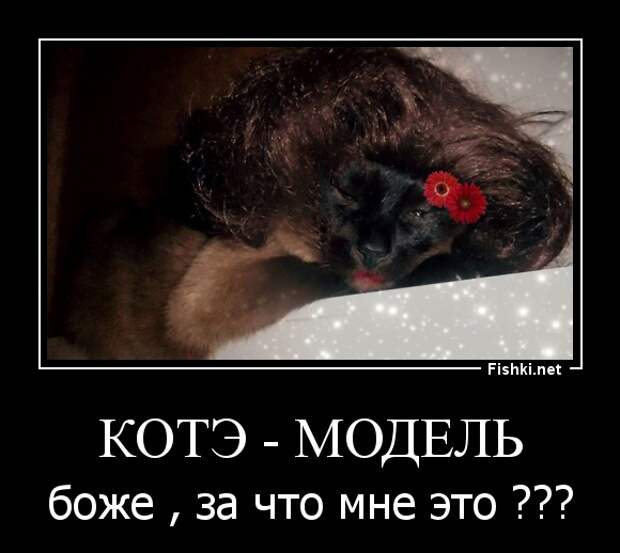 Демотиваторы Демотиваторы демотиваторы, прикол, смех, юмор