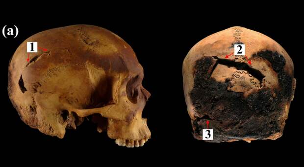 Ученые нашли в Египте порубленные хопешами черепа мужчин эпохи Нового царства