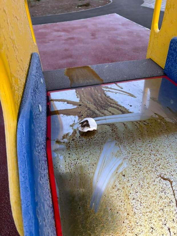 Фото: глава Славгорода Людмила Подгора