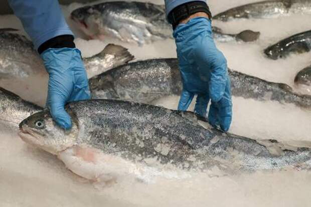 «Осетрина второй свежести»: простой тест, который спасет вас от покупки просроченной рыбы