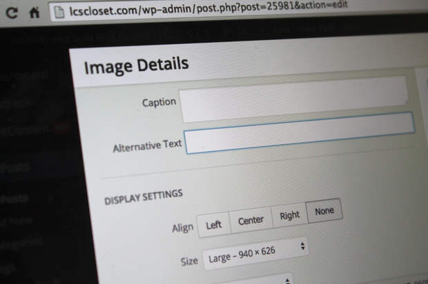 SEO Blog tips: alt text