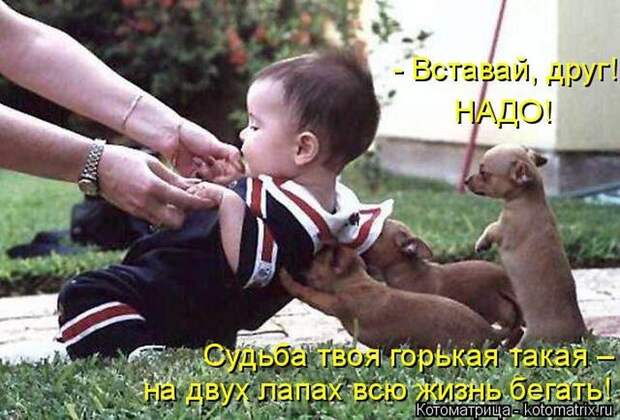 Лучшие котоматрицы недели