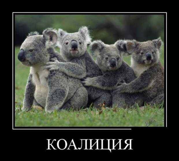 www.vsyako.net