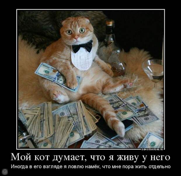 Безвозмездные демотиваторы 31