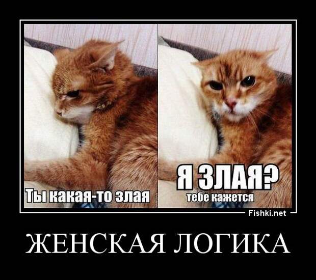 Демотиваторы демотиваторы, прикол, смех, юмор