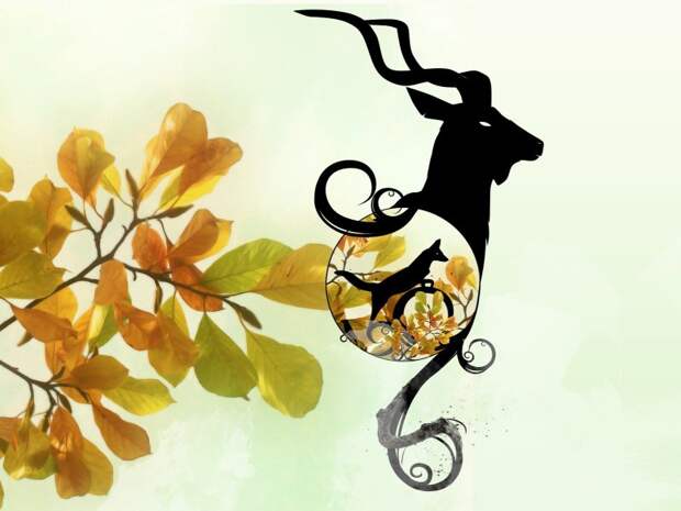 Сказочное безумие: подборка странных гороскопов Сказочное безумие: подборка странных гороскопов астрология, гороскоп