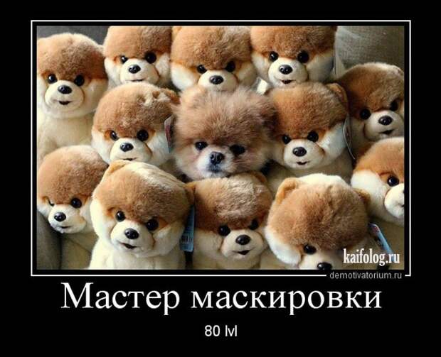 Демотиваторы - 244 (45 демок)