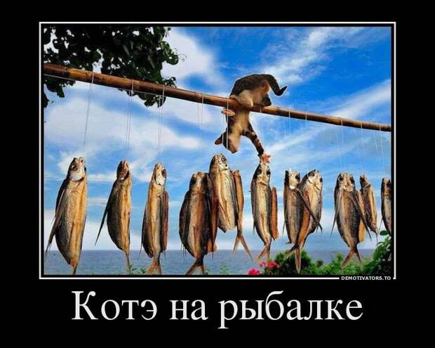 Демотиваторы демотиваторы, прикол, смех, юмор