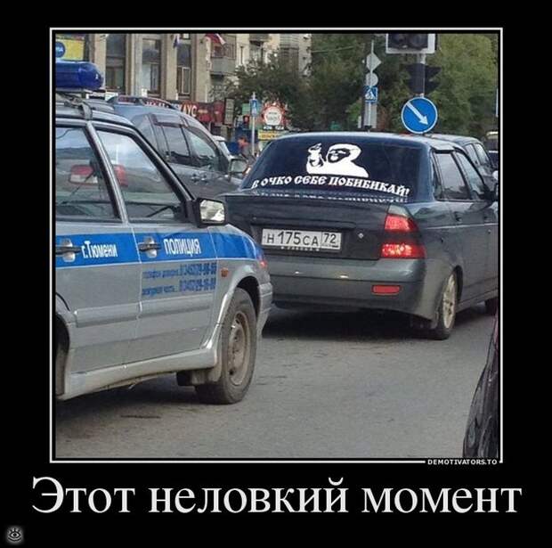 Доминируй, властвуй, урожай! 19