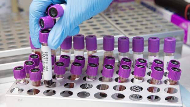В РФ провели более 20 миллионов тестов на коронавирус