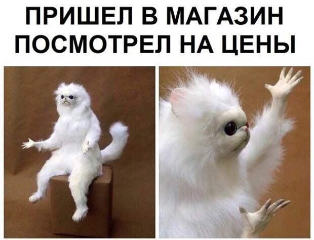 Приколюхи. Убойный заряд на всю неделю! Приколюхи. Убойный заряд на всю неделю!