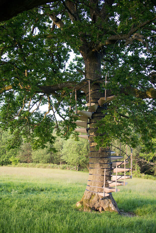 Винтовая лестница, устанавливающаяся на дерево без инструментов дерево, лестница