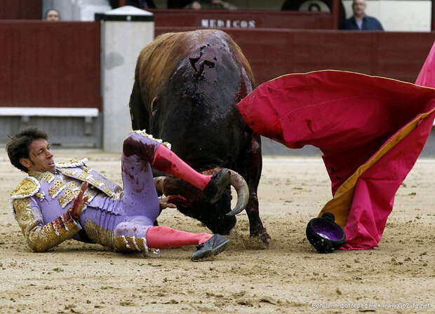 В Испании впервые прекратили бой быков