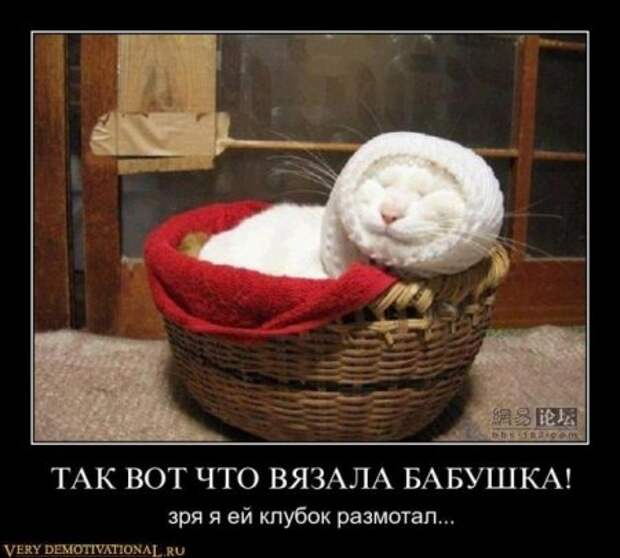 Демотиваторы, смешные приколы.