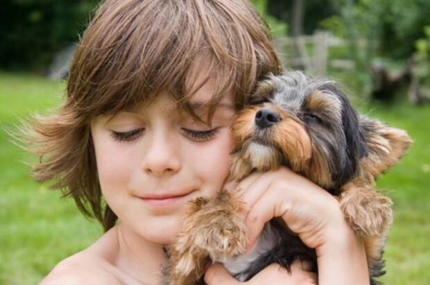 Dog and boy