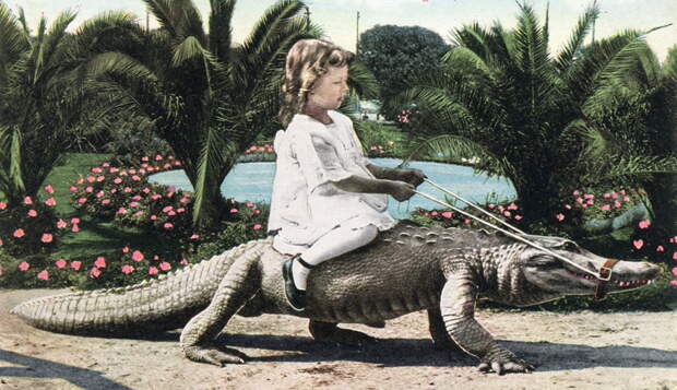 Joy_Riding_California_Alligator_Farm
