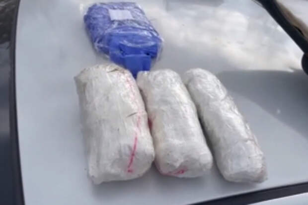 Более 2 кг наркотиков изъяли полицейские в Московской области у водителя и пассажира автомобиля