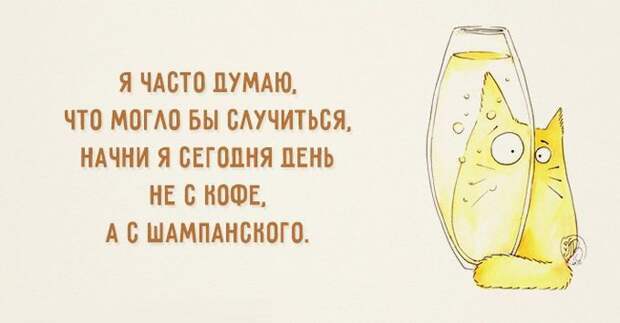 18 освежающих открыток открытки, юмор