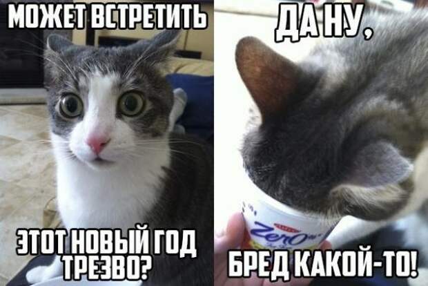 Картинки, юмор, приколы