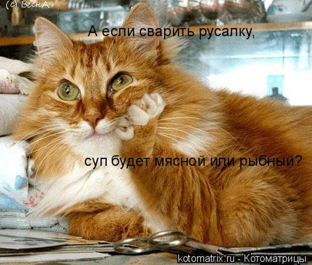 Давайте улыбаться вместе! :) (23улыбоки)