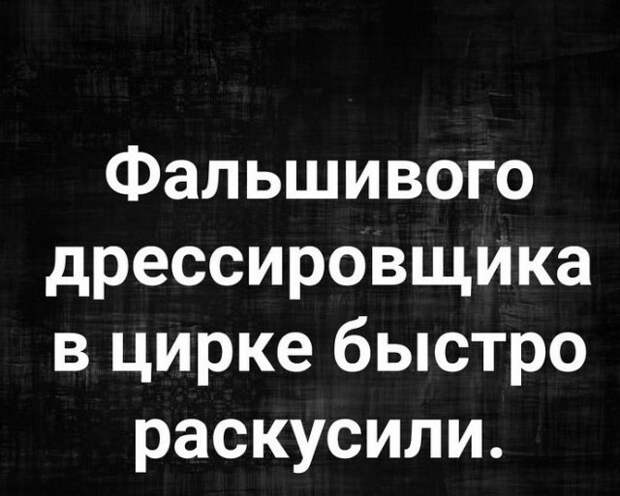 Немного жесткого черного юмора
