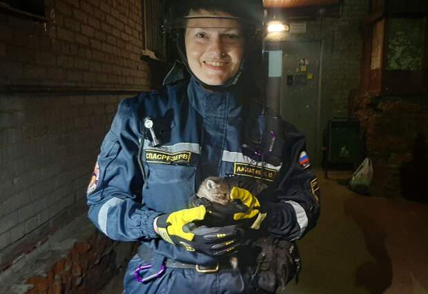 Спасатели приехали на вызов, когда уже смеркалось// фото предоставлено отрядом "СпасРезерв"