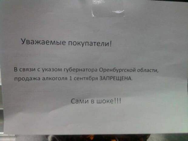 Порция народного креатива Порция народного креатива