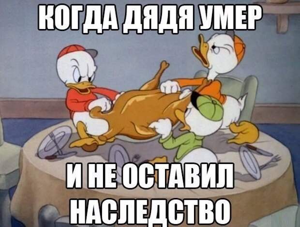 Смешные картинки с надписями видео, прикол