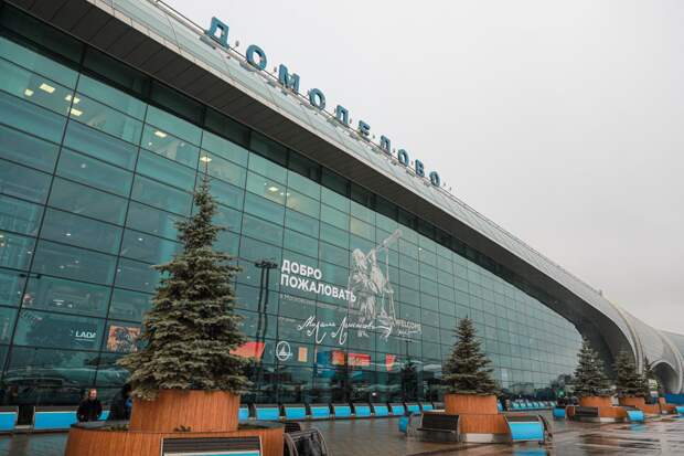 Торги по продаже Домодедова не состоялись из-за одной заявки