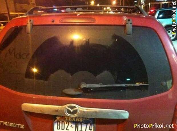 Автоприколы (48 фото) Автоприколы (48 фото)