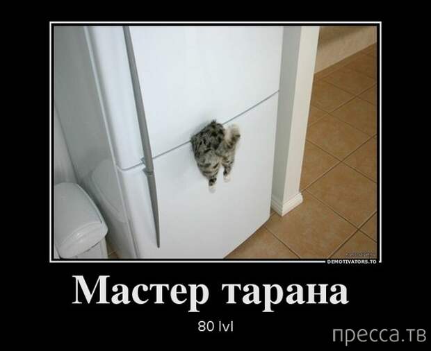 Демотиваторы (30 фото)