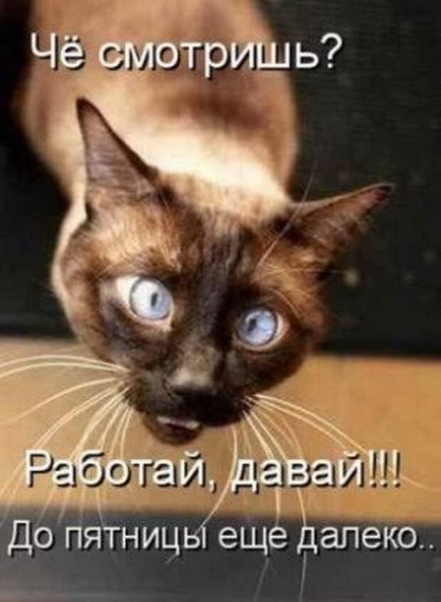 Давайте улыбаться вместе :)
