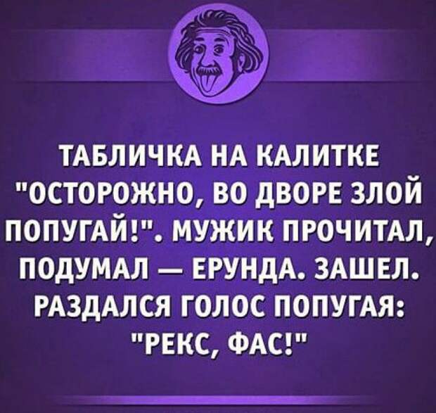 забавные вывески и предупреждения на заборах