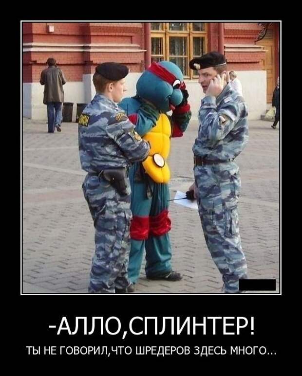 Демотиваторы (133 картинки)